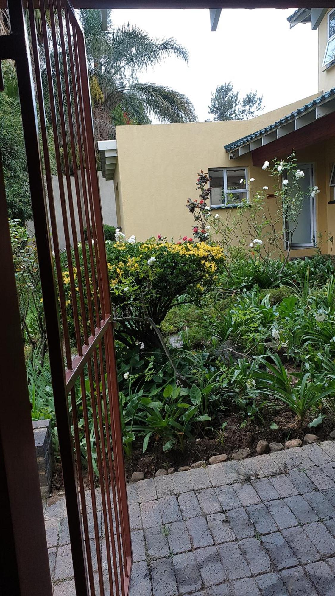 Matina Guest House ヨハネスブルグ 部屋 写真